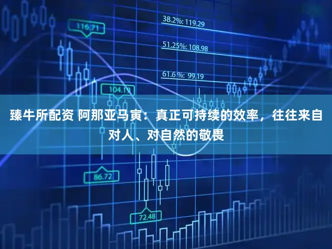 臻牛所配资 阿那亚马寅：真正可持续的效率，往往来自对人、对自然的敬畏