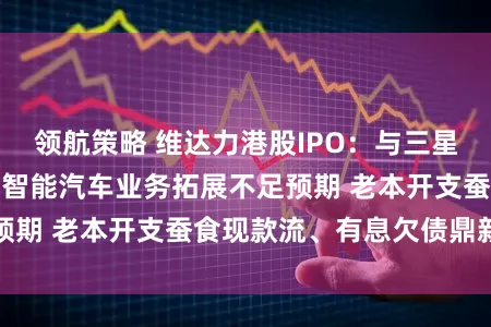 领航策略 维达力港股IPO：与三星、苹果深度绑定、智能汽车业务拓展不足预期 老本开支蚕食现款流、有息欠债鼎新高