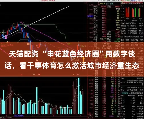 天猫配资 “申花蓝色经济圈”用数字谈话，看干事体育怎么激活城市经济重生态