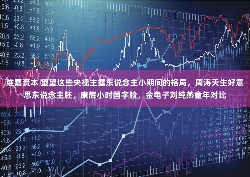 维嘉资本 望望这些央视主握东说念主小期间的格局，周涛天生好意思东说念主胚，康辉小时国字脸，金龟子刘纯燕童年对比