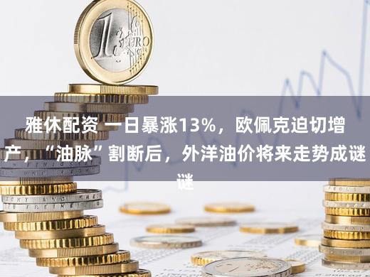 雅休配资 一日暴涨13%，欧佩克迫切增产，“油脉”割断后，外洋油价将来走势成谜