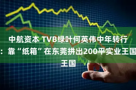 中航资本 TVB绿叶何英伟中年转行：靠“纸箱”在东莞拼出200平实业王国