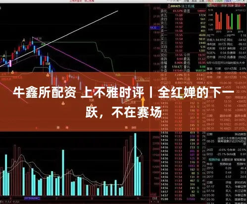 牛鑫所配资 上不雅时评丨全红婵的下一跃，不在赛场