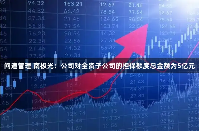 问道管理 南极光：公司对全资子公司的担保额度总金额为5亿元