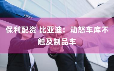 保利配资 比亚迪：动怒车库不触及制品车