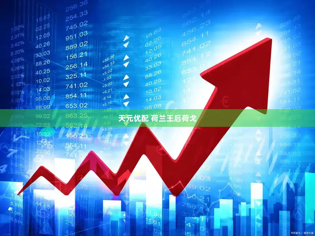 天元优配 荷兰王后荷戈